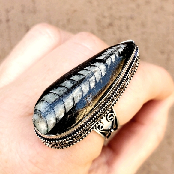 New Huge Orthoceras Fossil 925 Silver Ring. - Picture 1 of 16